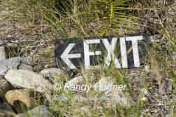 Exit.jpg